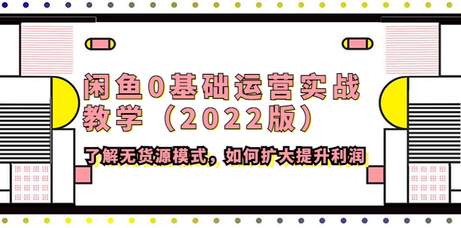 闲鱼0基础运营实战教学（2022版）了解无货源模式，如何扩大提升利润插图