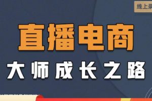 直播电商高手成长之路：教你成为直播电商大师，玩转四大板块（25节）