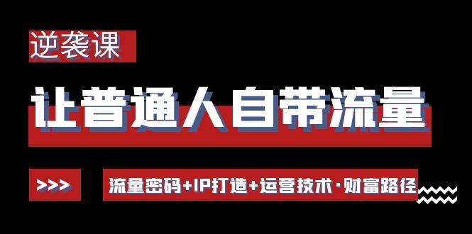 让普通人自带流量的逆袭课：流量密码+IP打造+运营技术·财富路径插图