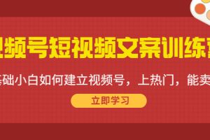 视频号短视频文案训练营：0基础小白如何建立视频号，上热门，能卖货