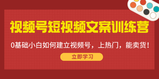 视频号短视频文案训练营：0基础小白如何建立视频号，上热门，能卖货插图