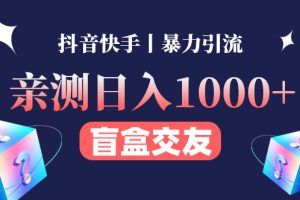 亲测日收益1000+的交友盲盒副业丨有手就行的抖音快手暴力引流