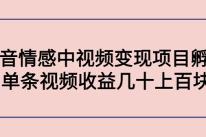 黄岛主副业孵化营第5期：抖音情感中视频变现项目孵化 单条视频收益几十上百