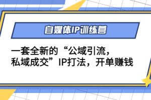 自媒体IP训练营(12+13期)一套全新的“公域引流，私域成交”IP打法 开单赚钱