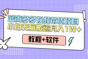 人人都能操作的蓝海多多视频带货项目 小白无脑搬运月入10000+（教程+软件）