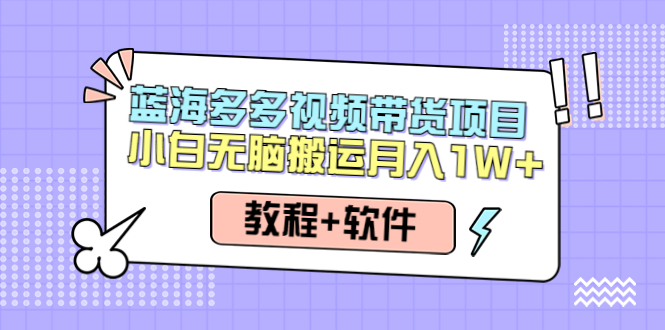 人人都能操作的蓝海多多视频带货项目 小白无脑搬运月入10000+（教程+软件）插图