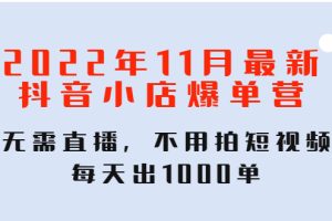 2022年11月最新抖音小店爆单营：无需直播，不用拍短视频，每天出1000单