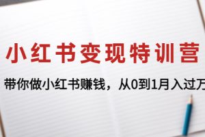 小红书变现特训营：带你做小红书赚钱，从0到1月入过万