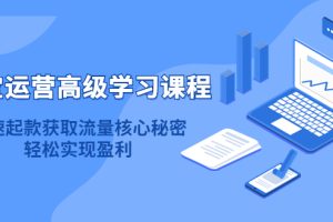 淘宝运营高级学习课程：快速获取流量核心秘密，轻松实现盈利