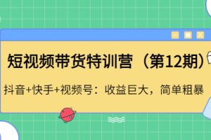 短视频带货特训营（第12期）抖音+快手+视频号：收益巨大，简单粗暴