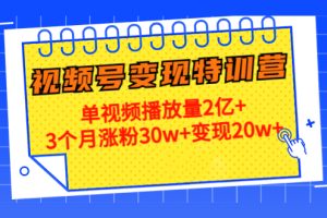 20天视频号变现特训营：单视频播放量2亿+3个月涨粉30w+变现20w+