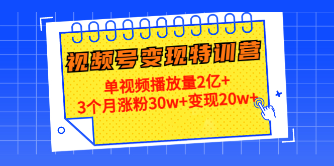 20天视频号变现特训营：单视频播放量2亿+3个月涨粉30w+变现20w+插图