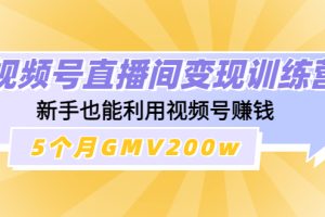 视频号直播间变现训练营：新手也能利用视频号赚钱，5个月GMV200w