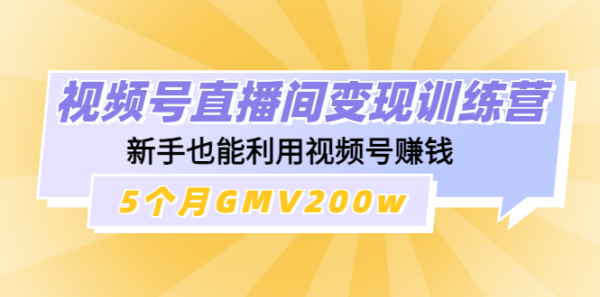 视频号直播间变现训练营：新手也能利用视频号赚钱，5个月GMV200w插图