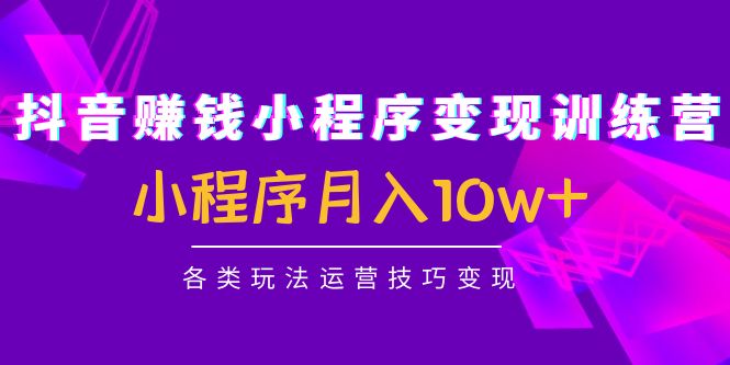 抖音赚钱小程序变现训练营：小程序月入10w+各类玩法运营技巧变现插图