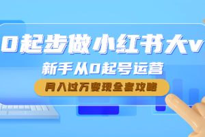 0起步做小红书大v，新手从0起号运营，月入过万变现全套攻略