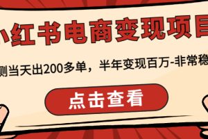 小红书电商变现项目：实测当天出200多单，半年变现百万-非常稳定