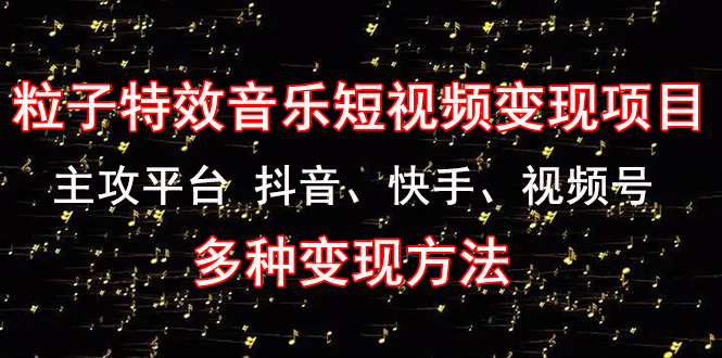 《粒子特效音乐短视频变现项目》主攻平台 抖音、快手、视频号 多种变现方法插图