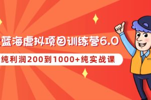 黄岛主《淘宝蓝海虚拟项目陪跑训练营6.0》每天纯利润200到1000+纯实战课