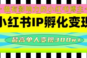 某收费培训-小红书IP孵化变现：做有影响力的小红书博主，最高单人变现300w+