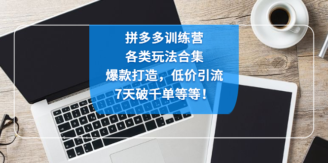 拼多多训练营：各玩法合集，爆款打造，低价引流，7天破千单等等插图