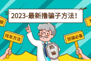 最新反撸骗子方法日赚200+【16个找车方法+发车渠道】视频+文档(2月3日更新)