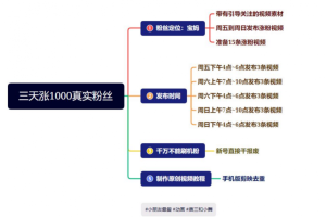 抖音快手三天起号涨粉1000宝妈粉丝的核心方法【详细玩法教程】