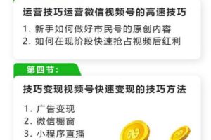 玩转微信视频号赚钱：小白变大咖涨粉百万实现快速变现1000万的现金流