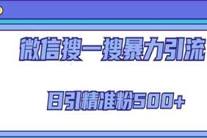 2023微信搜一搜引流全系列课程，日引精准粉500+（8节课）