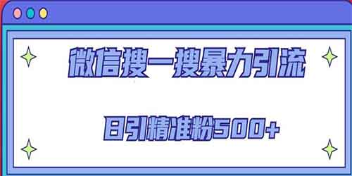 2023微信搜一搜引流全系列课程，日引精准粉500+（8节课）插图