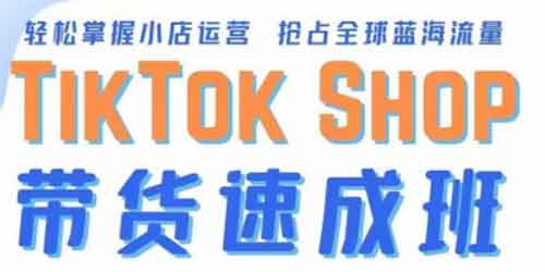 TikTok带货速成班 备战全球流量 一店卖全球插图