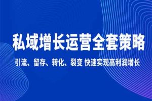 私域增长运营全套策略：引流、留存、转化、裂变 快速实现高利润增长