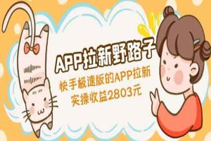 APP拉新野路子：快手极速版的APP拉新赚，实操收益2803元