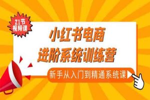 小红书电商进阶系统训练营：新手从入门到精通系统课（21节视频课）