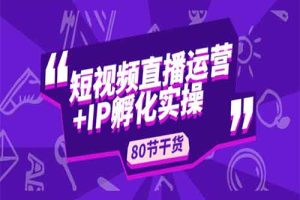 短视频直播运营+IP孵化实战：80节干货实操分享