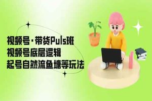 视频号·带货Puls班，视频号底层逻辑，起号自然流鱼塘等玩法