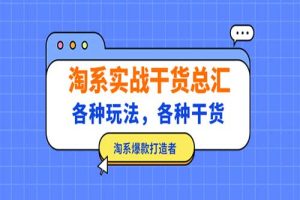 淘系实战干货总汇：各种玩法，各种干货，淘系爆款打造者