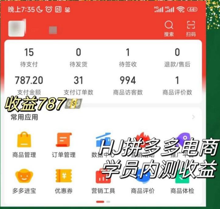 2023拼多多电商项目，稳定一天300～3000+，门槛低，出单快，一部手机即可完成插图3