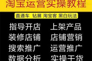 2023淘宝开店教程0基础到高级全套视频网店电商运营培训教学课程（2月更新）