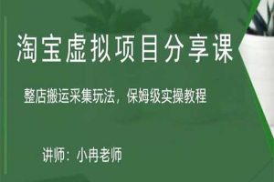 淘宝虚拟整店搬运采集玩法分享课：整店搬运采集玩法，保姆级实操教程