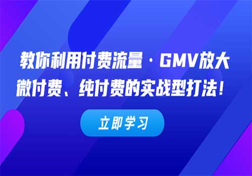 教你利用付费流量·GMV放大，微付费、纯付费的实战型打法插图