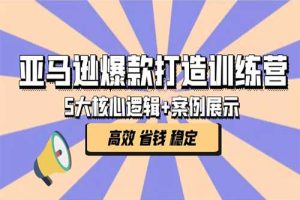 亚马逊爆款打造训练营：5大核心逻辑+案例展示 打造爆款链接 高效 省钱 稳定