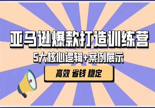 亚马逊爆款打造训练营：5大核心逻辑+案例展示 打造爆款链接 高效 省钱 稳定插图