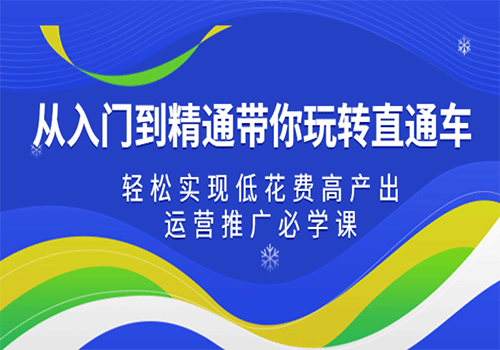 从入门到精通带你玩转直通车：轻松实现低花费高产出，35节运营推广必学课插图