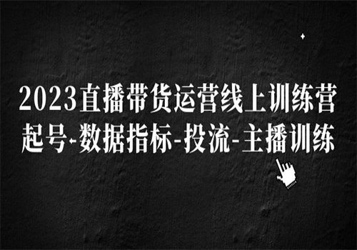 2023直播带货运营线上训练营，起号-数据指标-投流-主播训练插图