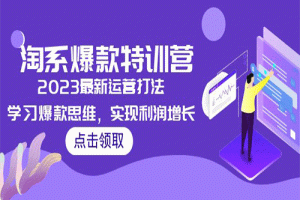 2023淘系爆款特训营，2023最新运营打法，学习爆款思维，实现利润增长