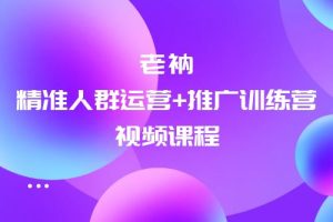 牛气学堂：老衲精准人群运营+推广训练营视频课程合集