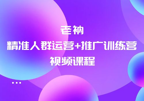 牛气学堂：老衲精准人群运营+推广训练营视频课程合集插图