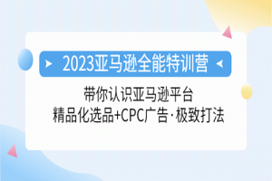 2023亚马逊全能特训营：玩转亚马逊平台+精品化·选品+CPC广告·极致打法