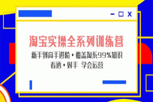 淘宝实操全系列训练营 新手到高手进阶·覆盖·99%知识 看透·对手 学会运营